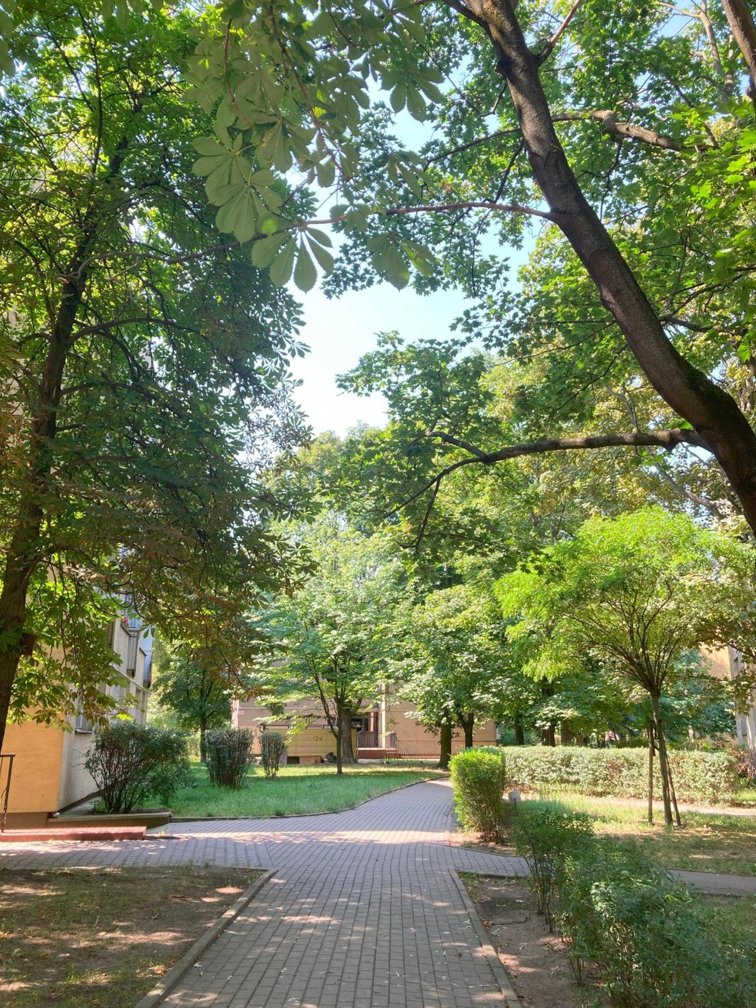 Appartamento Apartament Mila - Muzeum Polin Varsavia Esterno foto
